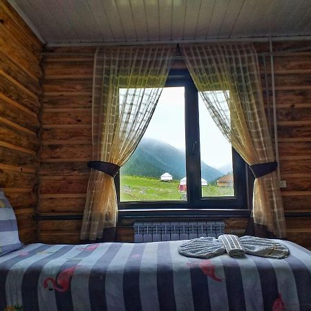 Altyn Arashan Guesthouse Eksteriør billede
